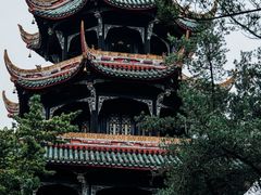 -望江楼公园