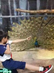 -酷嗒动物文化乐园(cutezoo西溪乐天城店)