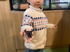 -藦茜花园宠物主题亲子互动体验馆(国顺东路店)