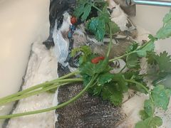 -宝荣鱼馆·临湖之宴(千岛湖店)