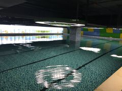 游泳池-兰州新区健力堡游泳健身中心