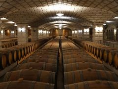 -紫轩葡萄酒庄园