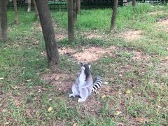 -杭州野生动物世界