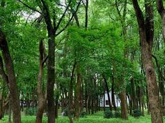 -东湖落雁景区