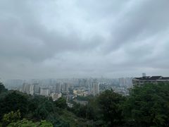 -鸿恩陶然大观园