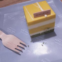 -悦诗风吟innisfree