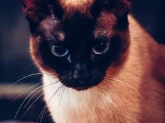 -么么咖啡(燕郊店)