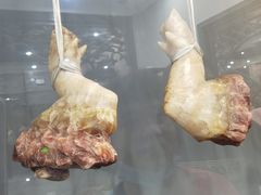 -游龙石文化科普馆