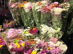 -山东嘉汇文化用品有限公司张店凤凰国际分公司(新村西路店)