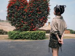 -东莞植物园