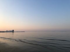 -萌萌牛紫米露(烟台大学店)