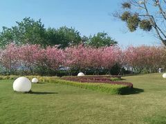 -福建鲤鱼洲酒店