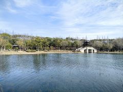 -尚湖风景区