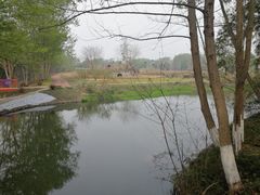 -桤木河湿地公园