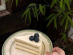 -竹子咖啡bamboo coffee