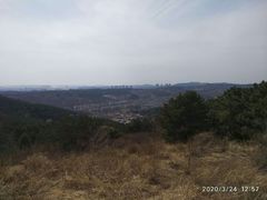 -高尔山公园