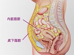 -星动力健身俱乐部(新塘店)