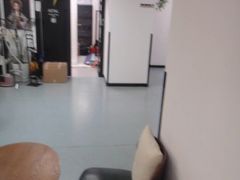 -引领英语·成人口语·雅思托福