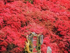 -木兰云雾山