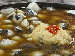 -顺德哥卜卜贝(旗舰店)