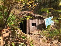 -天女山森林公园