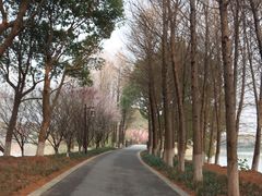 -苏州太湖国家湿地公园