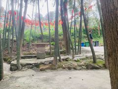 -金水泊山庄·花椒鸡(铁山坪店)
