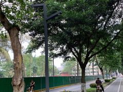 -四川大学(望江校区)