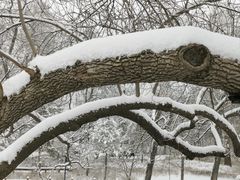 -迎泽公园