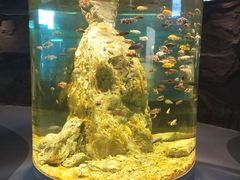 -国家自然博物馆