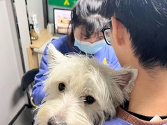 -半岛宠物医院24小时(科华中路店)