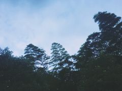 -浙江科技大学(小和山校区)