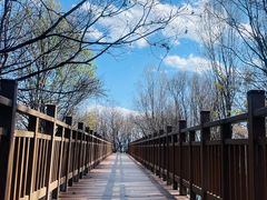 -洱海月湿地公园