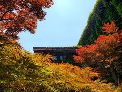 -中国茶叶博物馆(双峰馆区)