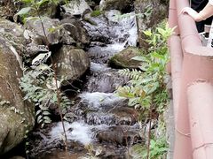 -藏龙百瀑风景区