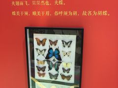 -LuOne凯德晶萃广场(徐家汇路店)