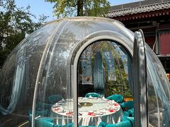 -唐猫庭院·千年陕菜(大唐不夜城店)