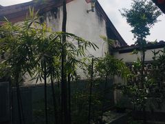 -灵光寺