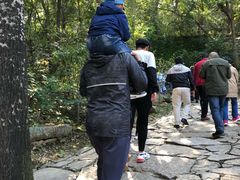 -井塘古村