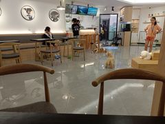 大堂-喵园·猫主题咖啡厅·撸猫·猫咖(国贸店)