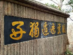 -紫金山山顶公园