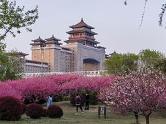 -莲花池公园