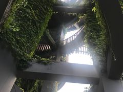 -芒洲湿地公园
