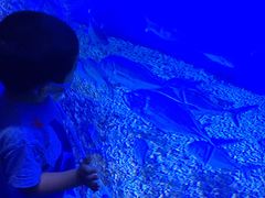 -哈尔滨波塞冬海底世界