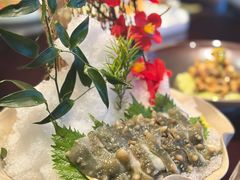 海参刺身-东莱馋房(陆家嘴店)