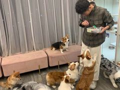 -浣熊柯尔鸭土拨鼠·电玩咖