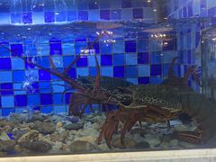 -渔家海鲜舫(宝湖路店)