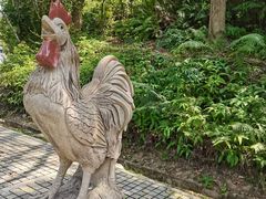 -深圳仙湖植物园