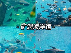 -长鹿旅游休博园