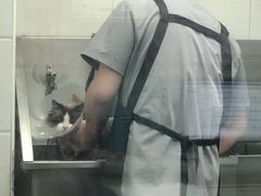 -达爱动物医院·犬猫分区·CT·复杂眼科(远洋山水分院)